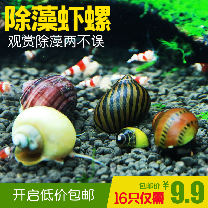 神奇动物最新资讯-快科技--科技改变未来